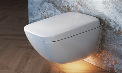 Image shows a wall mounted NEOREST WX