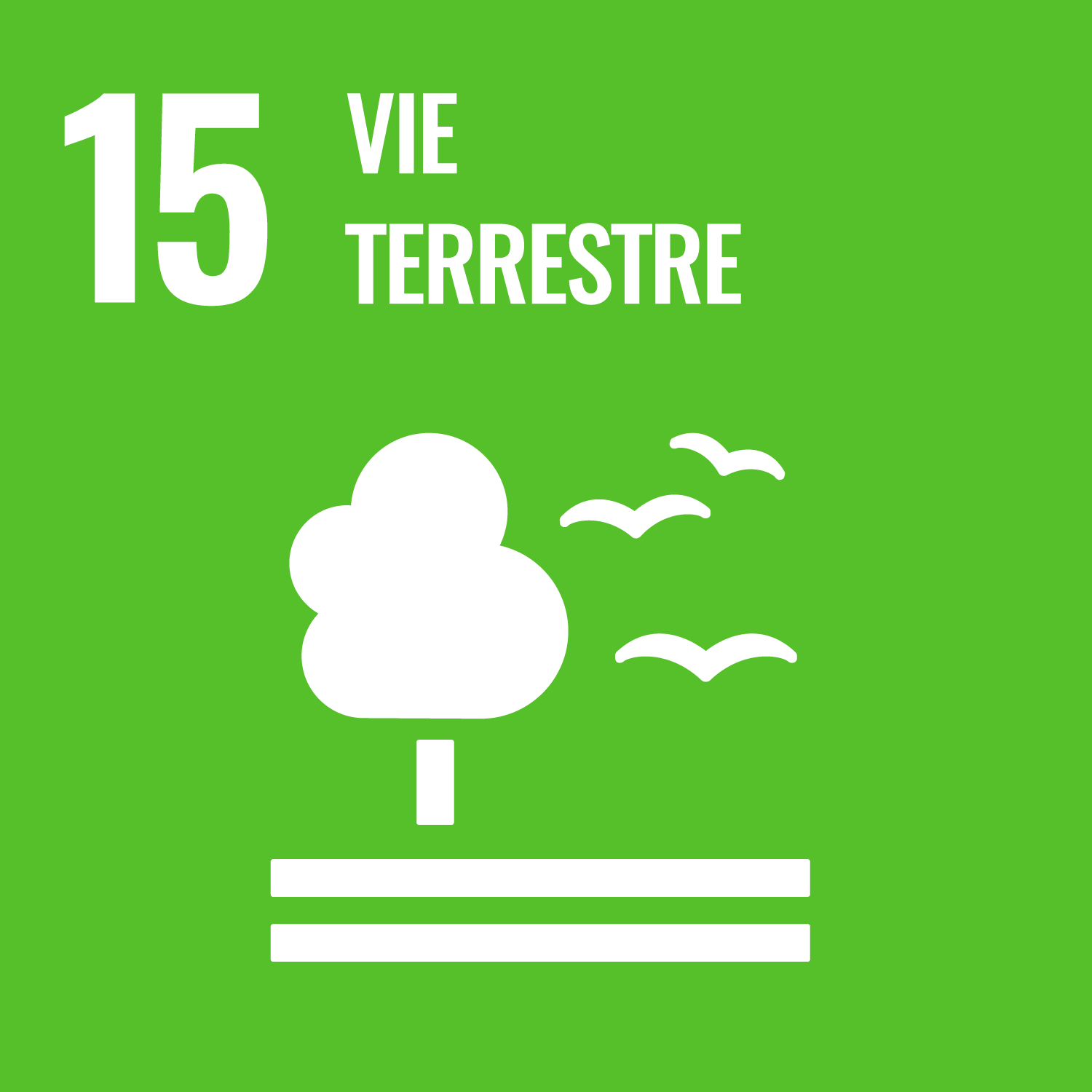 l’objectif 15 : Vie terrestre